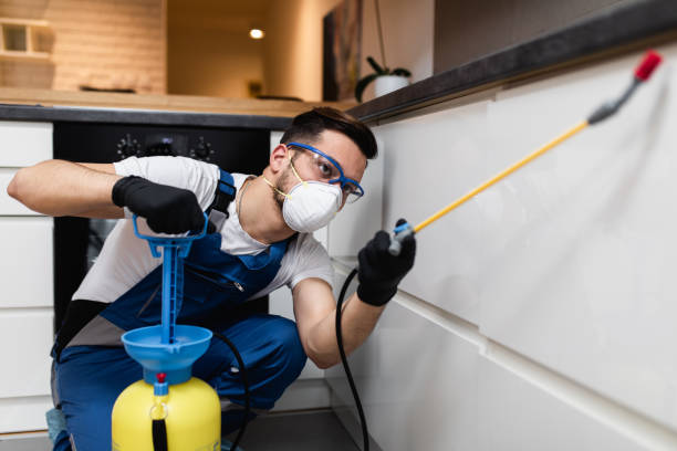 Best Flea Control Services  in Bear Valley Springs, CA