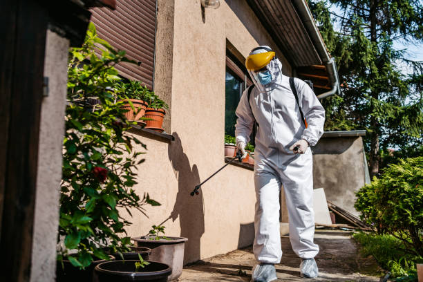 Best Exterminator Services  in Bear Valley Springs, CA
