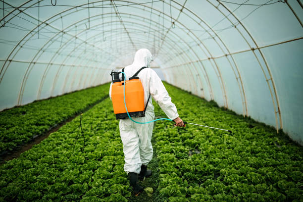 Best Commercial Pest Control Services  in Bear Valley Springs, CA
