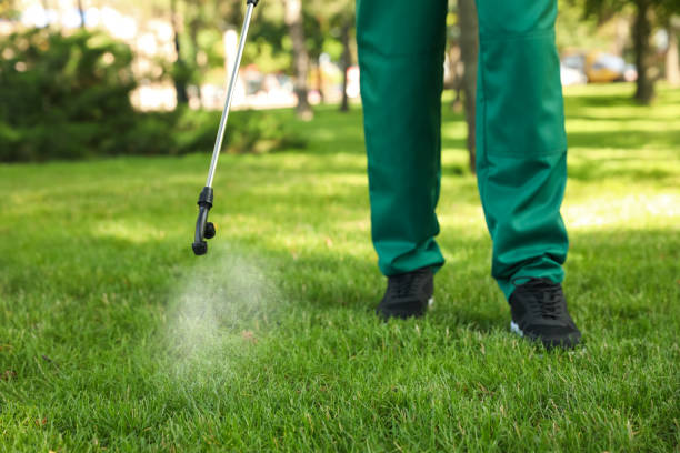 Best Pest Prevention Services  in Bear Valley Springs, CA