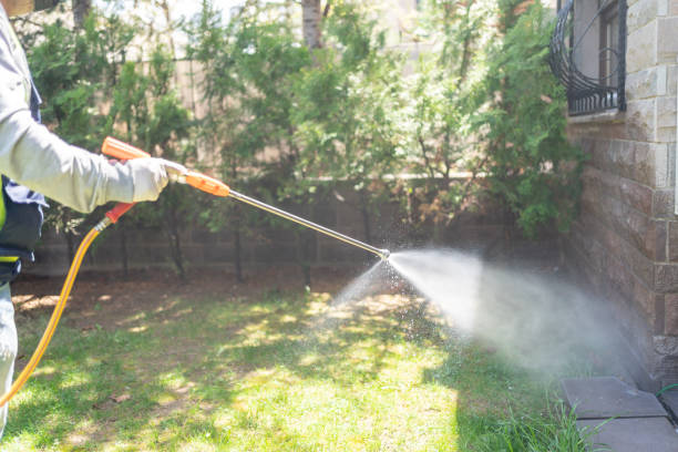 Pest Control Cost in Bear Valley Springs, CA