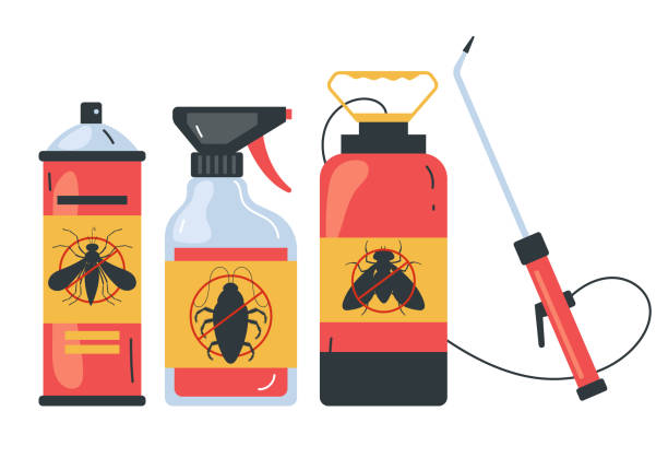 Wasp Removal Services in Bear Valley Springs, CA