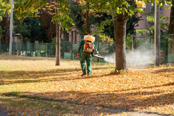 Best Affordable Pest Control Services  in Bear Valley Springs, CA