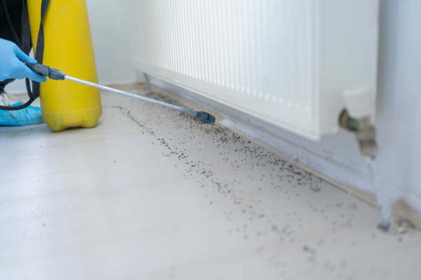 Best Pest Inspection Near Me  in Bear Valley Springs, CA